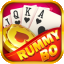 13 card rummy online icon