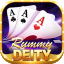 top rummy spin icon