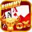 rummy bat icon